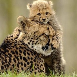 Meet your Posher, Debra